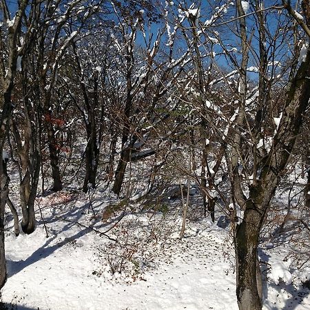 Myoko Kogen Pension Yamasan Εξωτερικό φωτογραφία