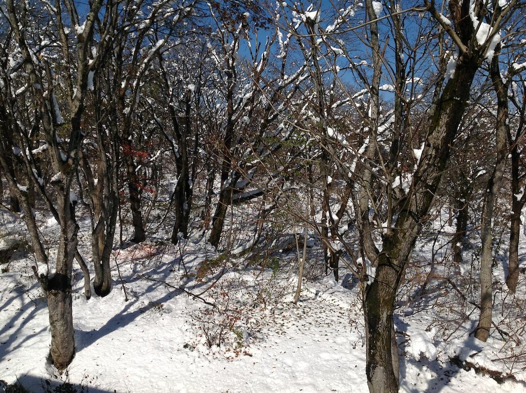 Myoko Kogen Pension Yamasan Εξωτερικό φωτογραφία